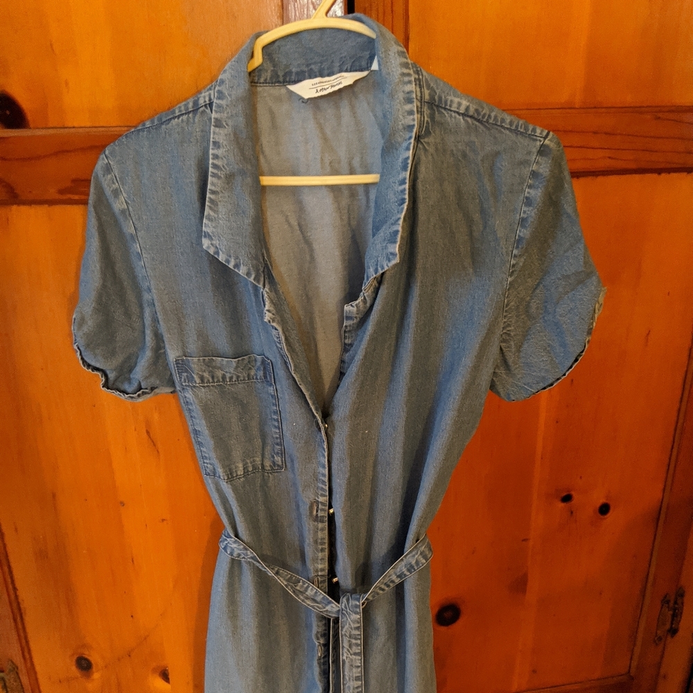 Button up Jean dress